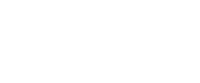 Lynxx – data inspired by people